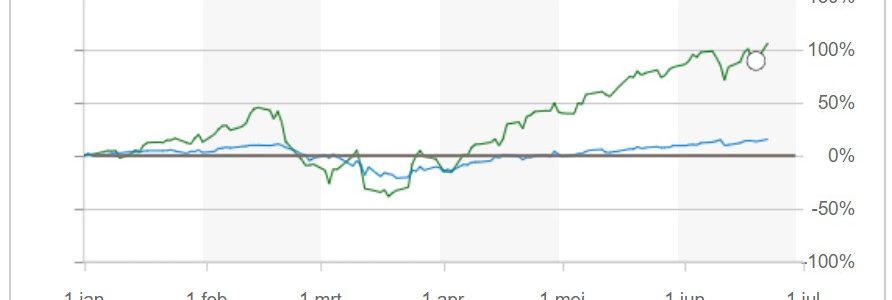 Update: June 30th 2020 – ROI – The-Wiseguy (first 6 months)