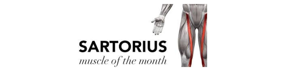 SARTORIUS VZ